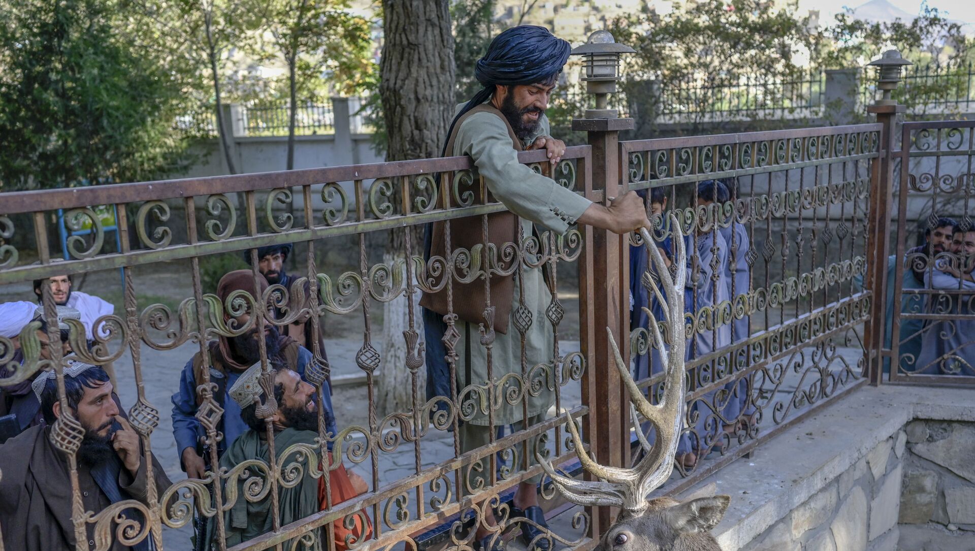 أحد مسلحين حركة طالبان يحاول لمس قرن غزال في حديقة حيوانات في كابول، أفغانستان، 17 سبتمبر 2021 - سبوتنيك عربي, 1920, 29.09.2021