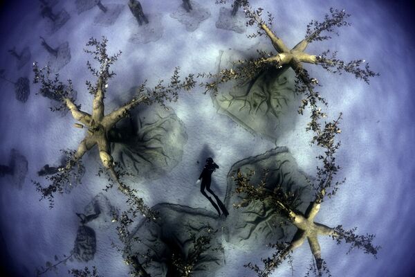 يسبح القبرصي الحر أنجيلوس ساففاس في حديقة موسان للنحت تحت الماء، والتي توصف بأنها أول غابة تقع تحت الماء في العالم، وتتألف من مجموعة من 130 منحوتة تصويرية تحت الماء متناثرة بين سلسلة من الأشجار العضوية المنحوتة والنباتات الجوفية، في منتجع أيا نابا في الجنوب الشرقي. ساحل قبرص، 18 سبتمبر 2021.

الحديقة، التي أنشأها فنان الشعاب المرجانية المشهور عالميًا جيسون ديكيرس تايلور، باستخدام الأسمنت المحايد بدرجة الحموضة التي تسهل نمو المرجان، تقع عبر أكثر من 167 مترًا (550 قدمًا) من الرمال على عمق يصل إلى 10 أمتار (33 قدمًا) قبالة ساحل قبرص وهو رمز لتعزيز قصة المنطقة المحمية البحرية التي تم إنشاؤها حديثًا في أيا نابا، مع الاعتراف بممارسات إزالة الغابات في الماضي، وفقًا لموقع المتحف على الإنترنت. - سبوتنيك عربي