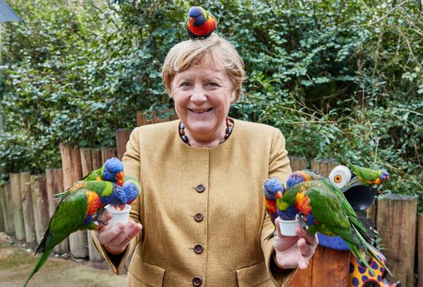 المستشارة الألمانية أنجيلا ميركل تُطعم طيور اللوريكيتس في حديقة الطيور في مارلو، شمال ألمانيا، 23 سبتمبر 2021، قبل أيام قليلة من الانتخابات الفيدرالية الألمانية في 26 سبتمبر. - سبوتنيك عربي