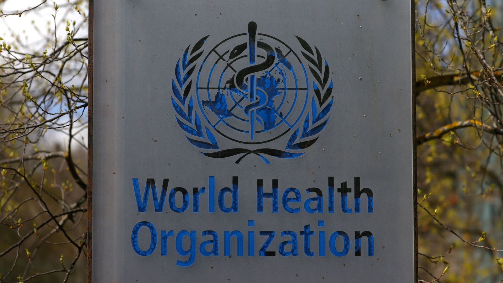 شعار منظمة الصحة العالمية - سبوتنيك عربي, 1920, 20.11.2021