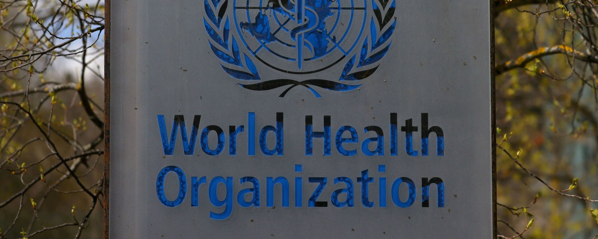 شعار منظمة الصحة العالمية - سبوتنيك عربي, 1920, 22.10.2021