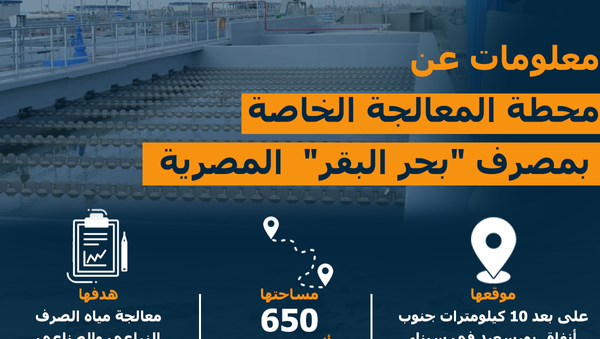 معلومات عن محطة المعالجة الخاصة بمصرف بحر البقر المصرية - سبوتنيك عربي