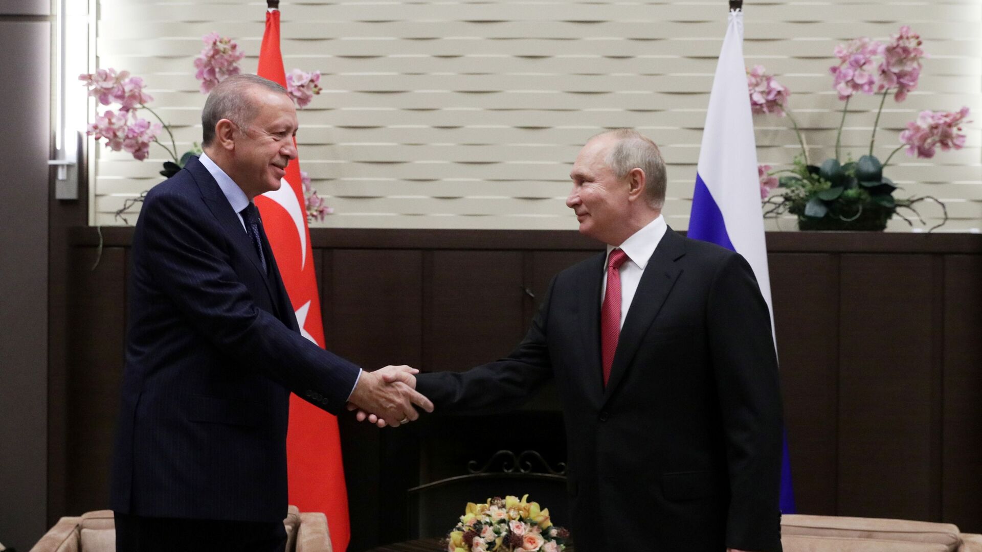 الرئيس الروسي فلاديمير بوتين يلتقي مع الرئيس التركي رجب طيب أردوغان في سوشتي، روسيا  29 سبتمبر 2021 - سبوتنيك عربي, 1920, 21.01.2022
