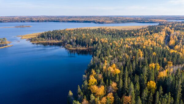 غابات تتلون بألوان فصل الخريف على خلفية بحيرة في جمهورية كاريليا الروسية، 2 أكتوبر 2021 - سبوتنيك عربي
