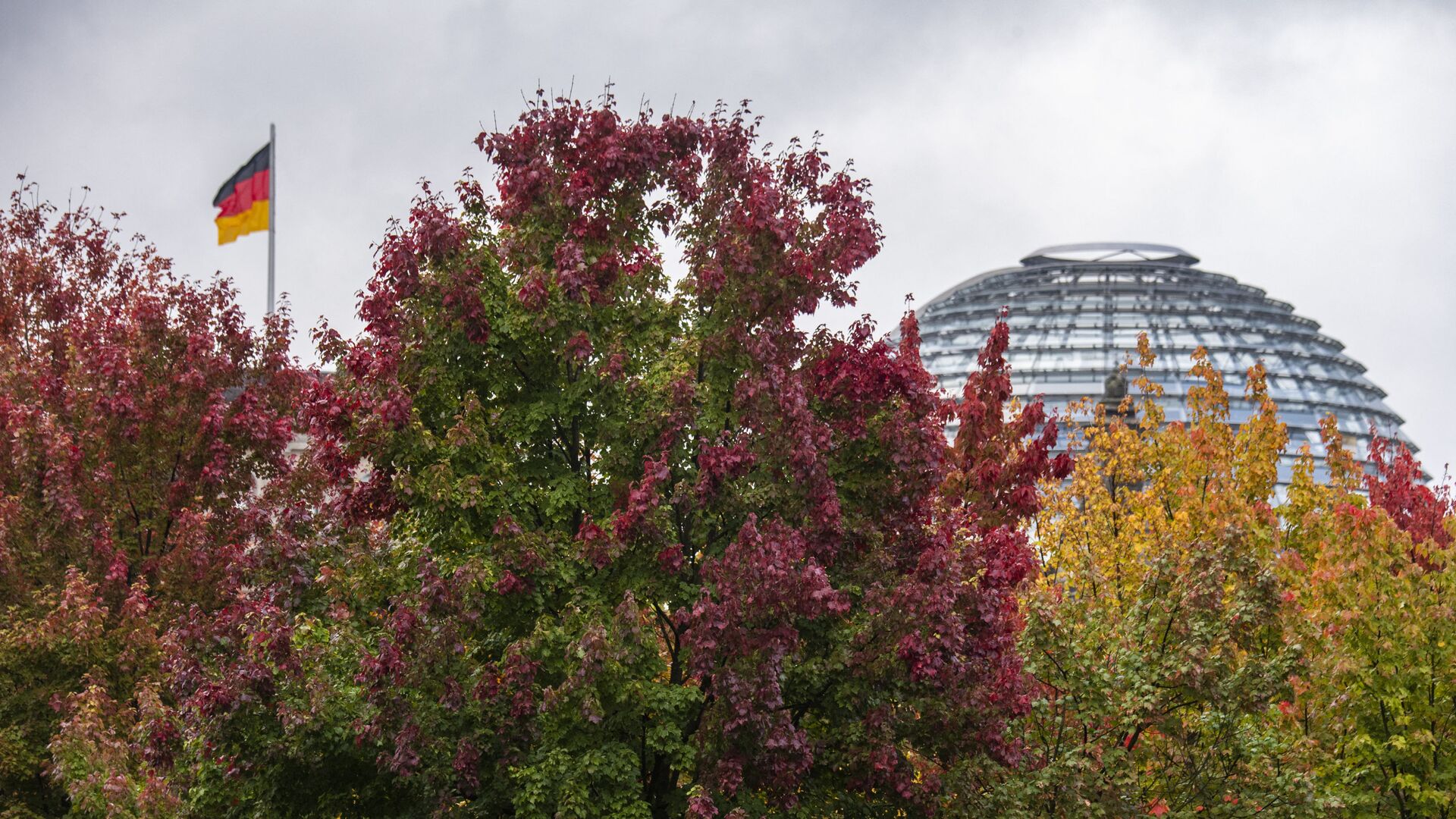 تتزين الأشجار بألوان زاهية أمام مبنى الرايخستاغ حيث يرفرف العلم الألماني، بينما الخريف في برلين، ألمانيا 12 أكتوبر 2021. - سبوتنيك عربي, 1920, 25.01.2023