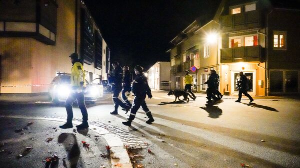 الشرطة: رجل يقتل عددا من الأشخاص في هجمات بالقوس والسهام في النرويج - سبوتنيك عربي