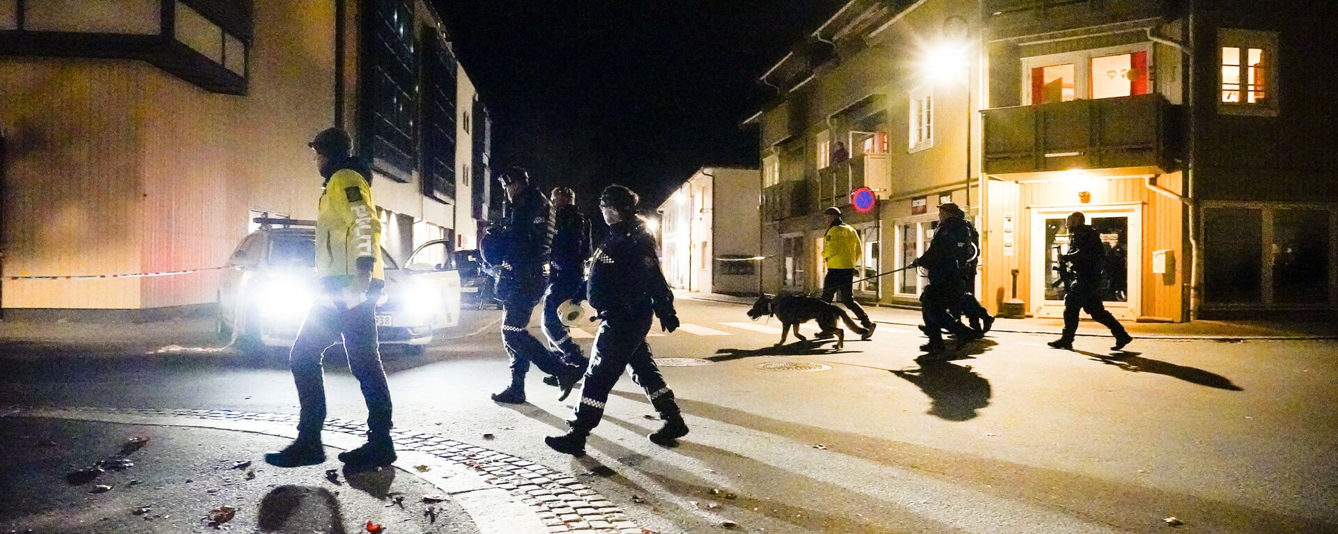 الشرطة: رجل يقتل عددا من الأشخاص في هجمات بالقوس والسهام في النرويج - سبوتنيك عربي, 1920, 13.10.2021