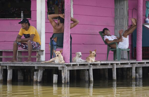 أشخاص وكلاب يستريحون على شرفة منزل في سيناغا غراندي دي سانتا مارتا (Sienaga Grande de Santa Marta) في نيو فينيسيا، كولومبيا 12 أكتوبر 2021 - سبوتنيك عربي