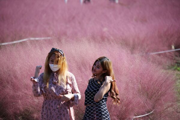 نساء يقفن لالتقاط صورة في حقل العشب المهلي وردي اللون في حديقة وسط وباء فيروس كورونا (كوفيد-19) في هانام، كوريا الجنوبية ، 18 أكتوبر 2021. - سبوتنيك عربي