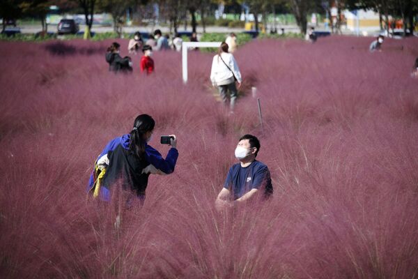 شخصان يلتقطان صورة في حقل العشب المهلي وردي اللون في حديقة وسط وباء فيروس كورونا (كوفيد-19) في هانام، كوريا الجنوبية ، 18 أكتوبر 2021. - سبوتنيك عربي