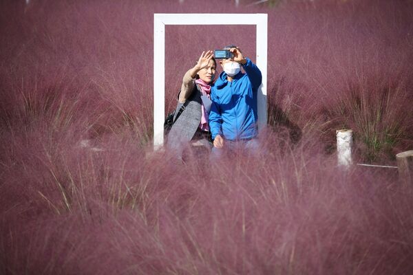 شخصان يلتقطان صورة على خلفية حقل العشب المهلي وردي اللون في حديقة وسط وباء فيروس كورونا (كوفيد-19) في هانام، كوريا الجنوبية ، 18 أكتوبر 2021. - سبوتنيك عربي