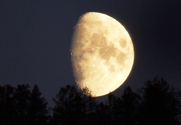 القمر فوق غابات التايغا في منطقة تاشتيبوسك في جمهورية خاكاسيا الروسية. - سبوتنيك عربي