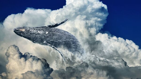 صورة خيالية لحوت أحدب مع الغيوم  - سبوتنيك عربي