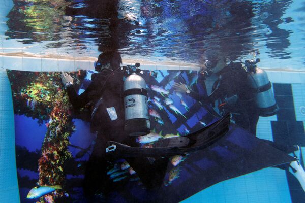 غواصون يضعون صوراً في بركة سباحة خلال معرض للصور للترويج لمواقع الغوص الشهيرة في تايوان، وسط حظر السفر بسبب تفشي فيروس كورونا (كوفيد-19)، في هونغ كونغ، الصين، 6 نوفمبر 2021. - سبوتنيك عربي