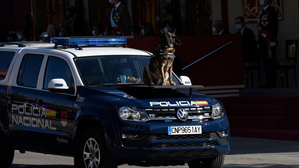 الشرطة الإسبانية - سبوتنيك عربي