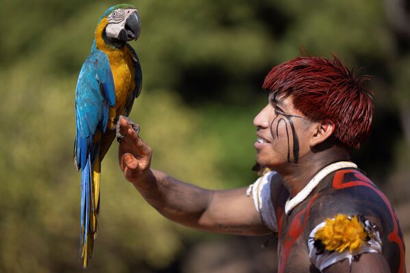 رجل من قبيلة ياوالابيتي يمسك بطائر الببغاء في يوم كواروب (Kuarup)، وهي طقوس جنائزية لتكريم ذكرى Cacique Aritana ، زعيم ياوالابيتي، في حديقة شينغو الوطنية، البرازيل، 4 سبتمبر 2021. - سبوتنيك عربي