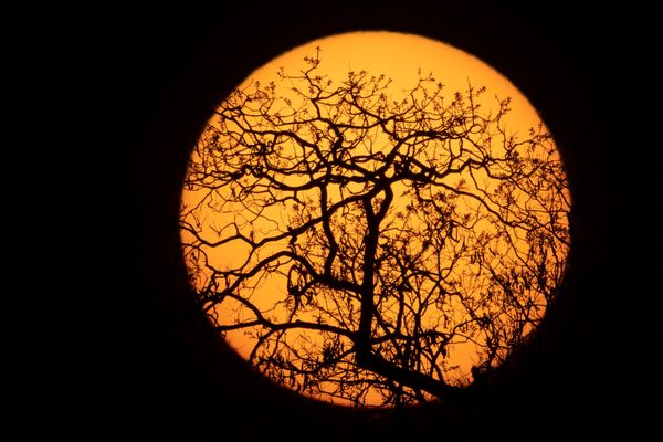 طلوع الشمس في ياوالابيتي في يوم كواروب (Kuarup)، وهي طقوس جنائزية لتكريم ذكرى Cacique Aritana ، زعيم ياوالابيتي، في حديقة شينغو الوطنية، البرازيل، 7 سبتمبر 2021. - سبوتنيك عربي