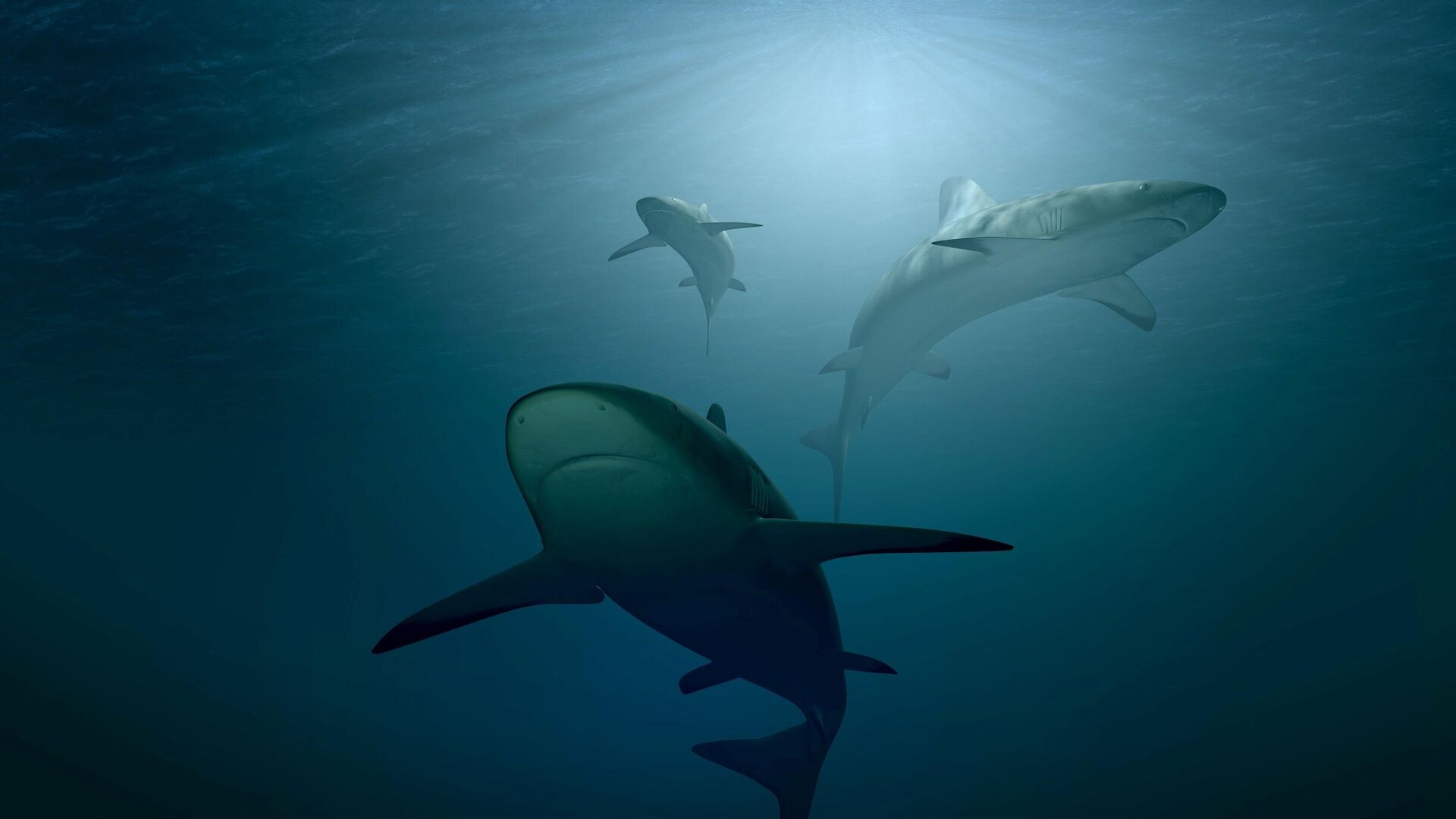 أسماك القرش أسفل مياه البحر  - سبوتنيك عربي, 1920, 23.11.2021
