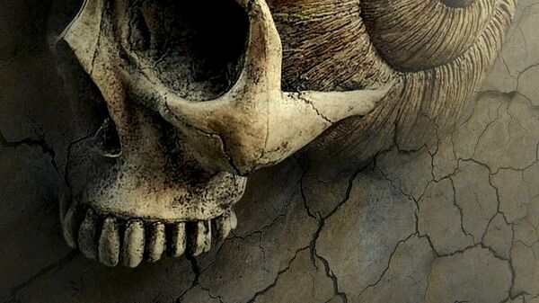 صورة خيالية لأحفورة جمجمة بشرية  - سبوتنيك عربي