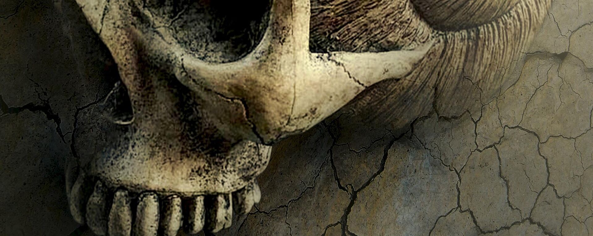 صورة خيالية لأحفورة جمجمة بشرية  - سبوتنيك عربي, 1920, 24.11.2021