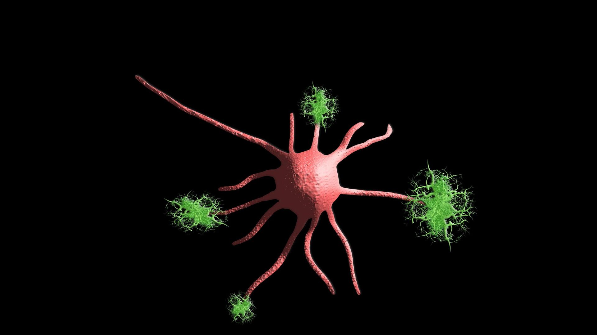 خلايا تتمدد وترتبط بألياف عصبية  - سبوتنيك عربي, 1920, 28.11.2021