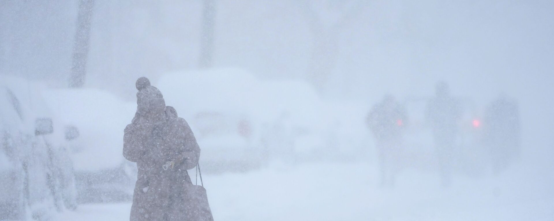 تحاول امرأة حماية وجهها  بيدها من تساقط الثلوج أثناء المشي في ظروف بيضاء في جيرسي سيتي، نيوجيرسي، الولايات المتحدة 1 فبراير 2021.
 - سبوتنيك عربي, 1920, 23.12.2022