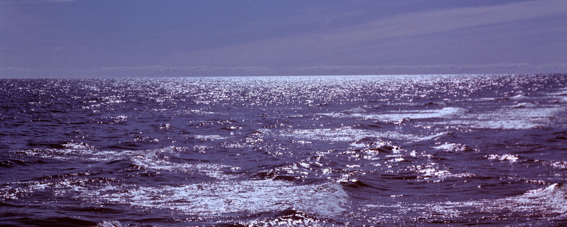 سماء أرجوانية في بحر البلطيق - سبوتنيك عربي, 1920, 04.07.2022