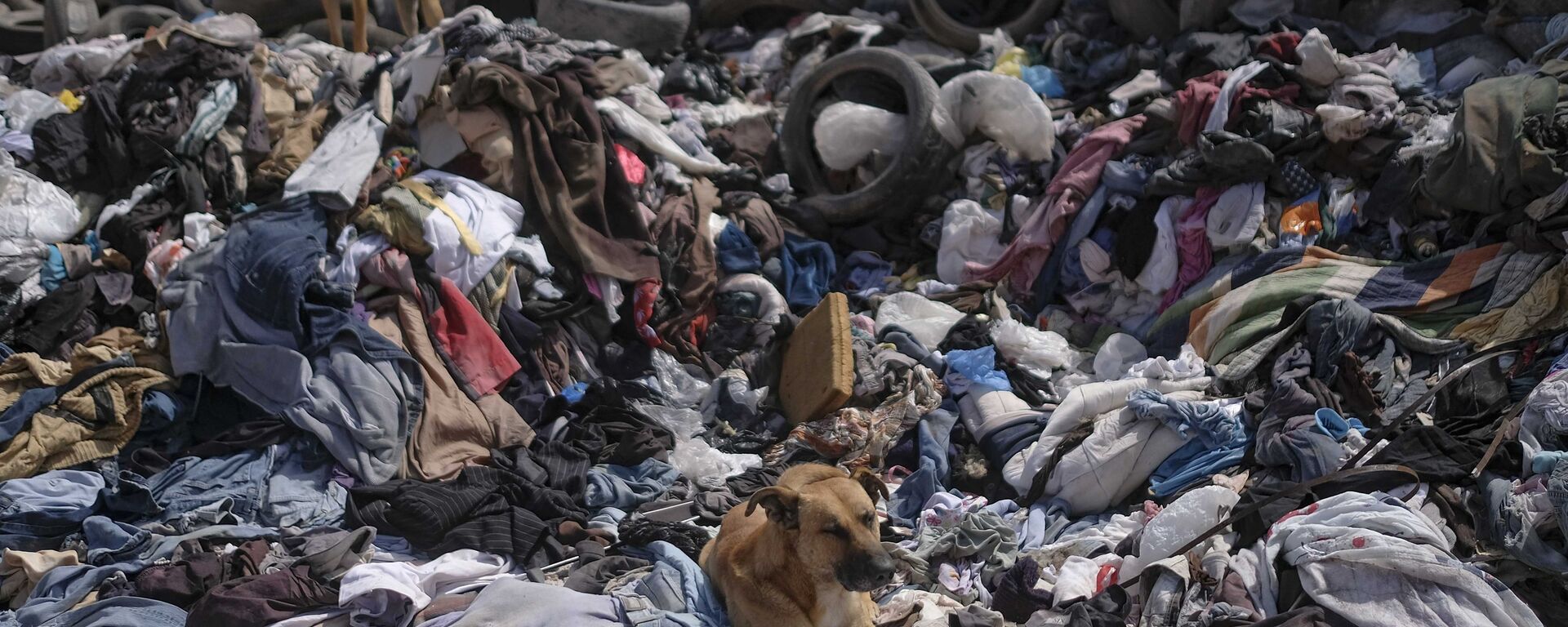 كلاب مشردة تستريح فوق كومة كبيرة من الملابس المستعملة بالقرب من حي لا مولا في ألتو هوسبيسيو، تشيلي، 13 ديسمبر 2021 - سبوتنيك عربي, 1920, 28.05.2022
