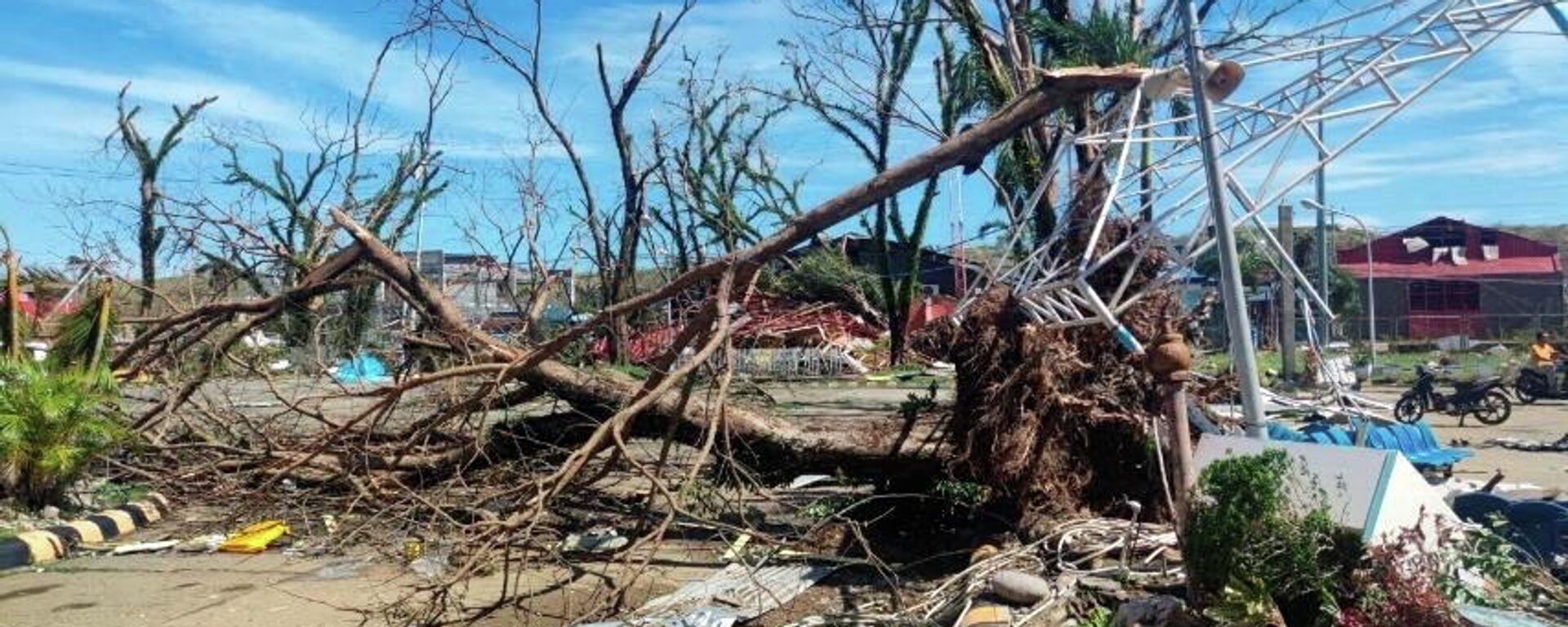 أشجار متساقطة بسبب إعصار راي في جزيرة سيارجاو، سوريجاو ديل نورتي، الفلبين، 17 ديسمبر/ كانون الأول 2021 - سبوتنيك عربي, 1920, 06.02.2022