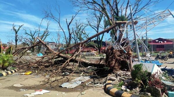 أشجار متساقطة بسبب إعصار راي في جزيرة سيارجاو، سوريجاو ديل نورتي، الفلبين، 17 ديسمبر/ كانون الأول 2021 - سبوتنيك عربي