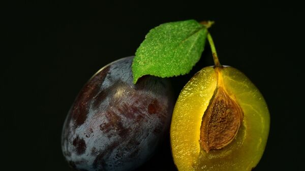 فاكهة البرقوق أحد أصناف الخوخ وتنتمي إلى عائلة الخوخيات  - سبوتنيك عربي