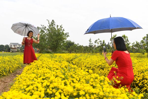 نساء يلتقطن صورًا وسط أقحوان في حقل في مقاطعة هونغ ين، فيتنام 21 ديسمبر 2021. - سبوتنيك عربي