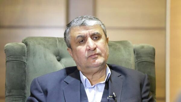 رئيس منظمة الطاقة الذرية الإيرانية محمد إسلامي - سبوتنيك عربي
