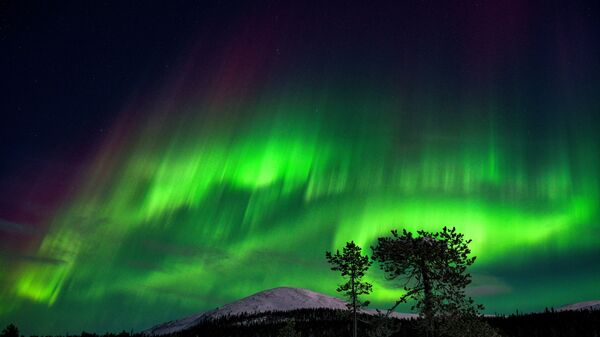 الشفق القطبي، والمعروف أيضا باسم أضواء الشمال، يضيء سماء الليل في كولاري، لابلاند، فنلندا، 15 يناير 2022. - سبوتنيك عربي