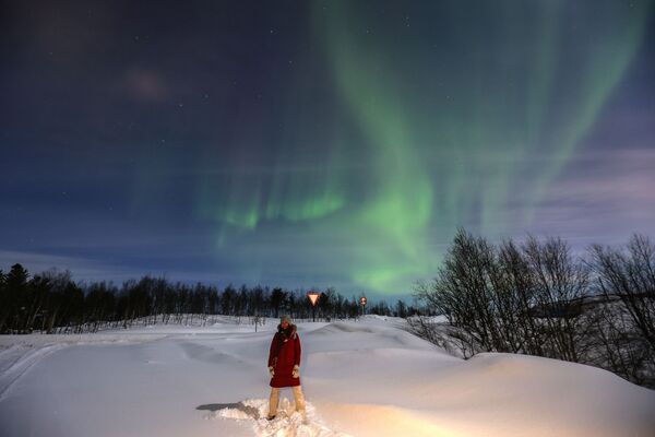 الشفق القطبي، والمعروف أيضا باسم أضواء الشمال، يضيء سماء الليل في مورمانسك، روسيا، 15 يناير 2022. - سبوتنيك عربي
