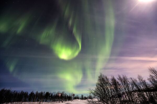الشفق القطبي، والمعروف أيضا باسم أضواء الشمال، يضيء سماء الليل في مورمانسك، روسيا، 15 يناير 2022. - سبوتنيك عربي