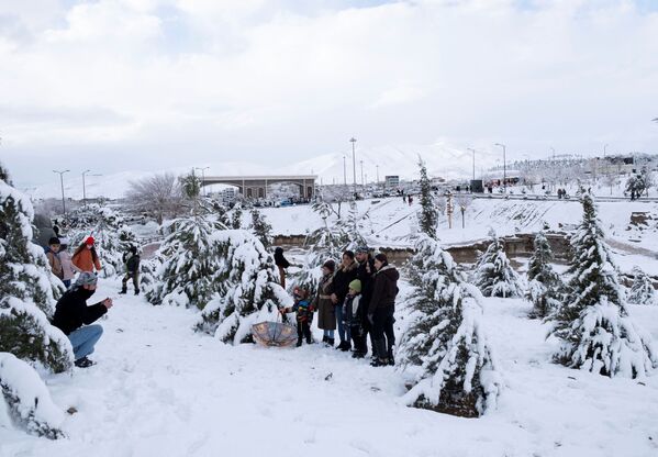 مواطنون يلتقطون صورة جماعية على خلفية أشجار مغطاة بالثلوج في السليمانية، العراق ، 17 يناير 2022. - سبوتنيك عربي