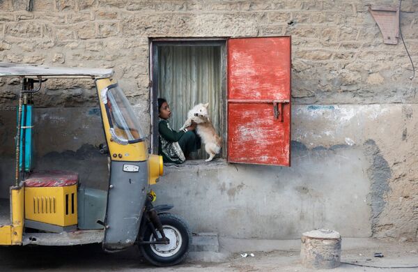 سانيا، 10 سنوات، تلعب مع كلب يُدعى دوغو، أثناء جلوسها على نافذة منزل عائلتها في كراتشي، باكستان  19 يناير 2022. - سبوتنيك عربي