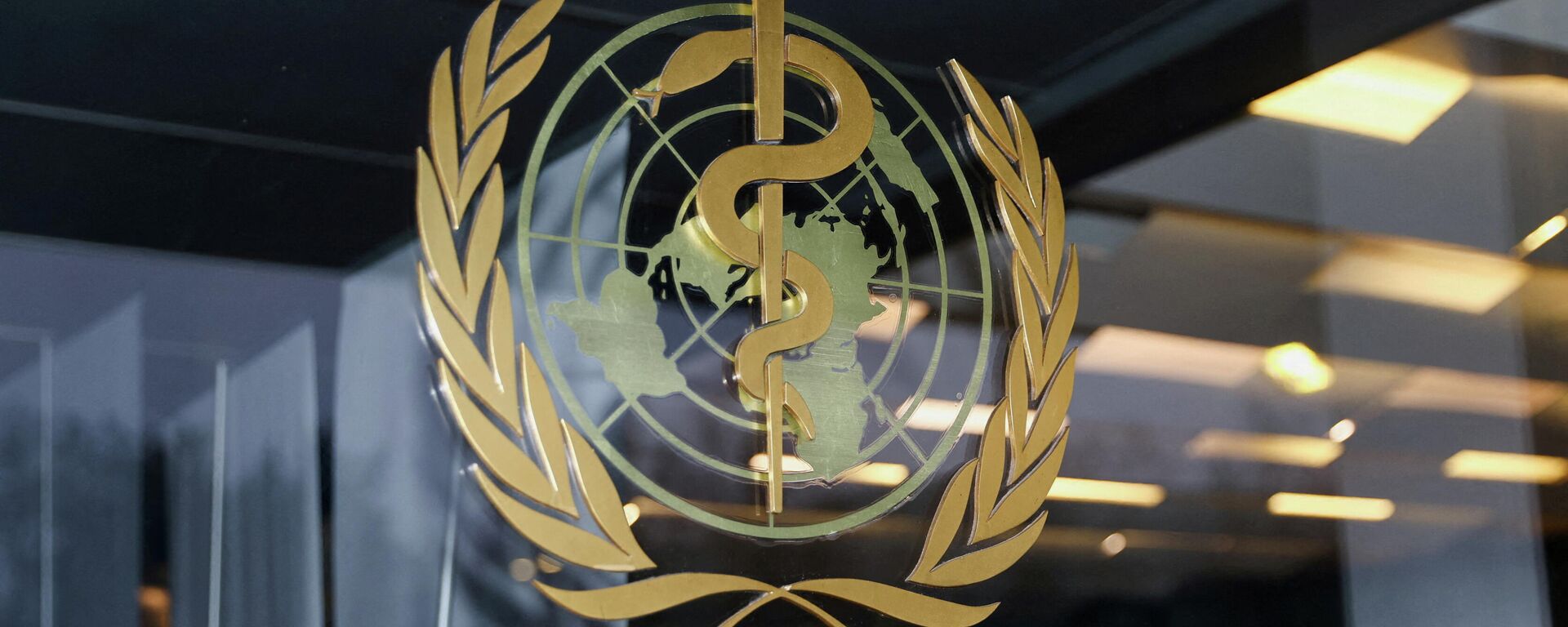 منظمة الصحة العالمية - سبوتنيك عربي, 1920, 13.04.2022