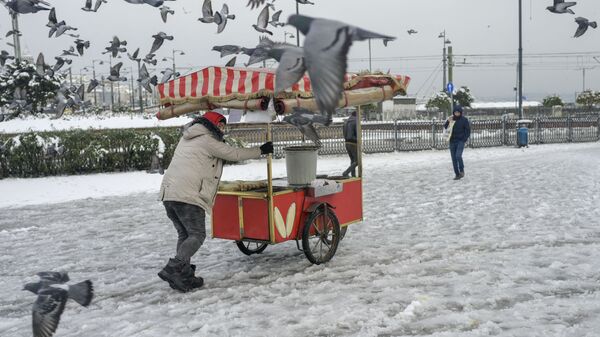 أحد البائعين يسحب عربة الذرة في مقاطعة إمنونو في اسطنبول في 25 يناير 2022 بعد عاصفة ثلجية.  - سبوتنيك عربي