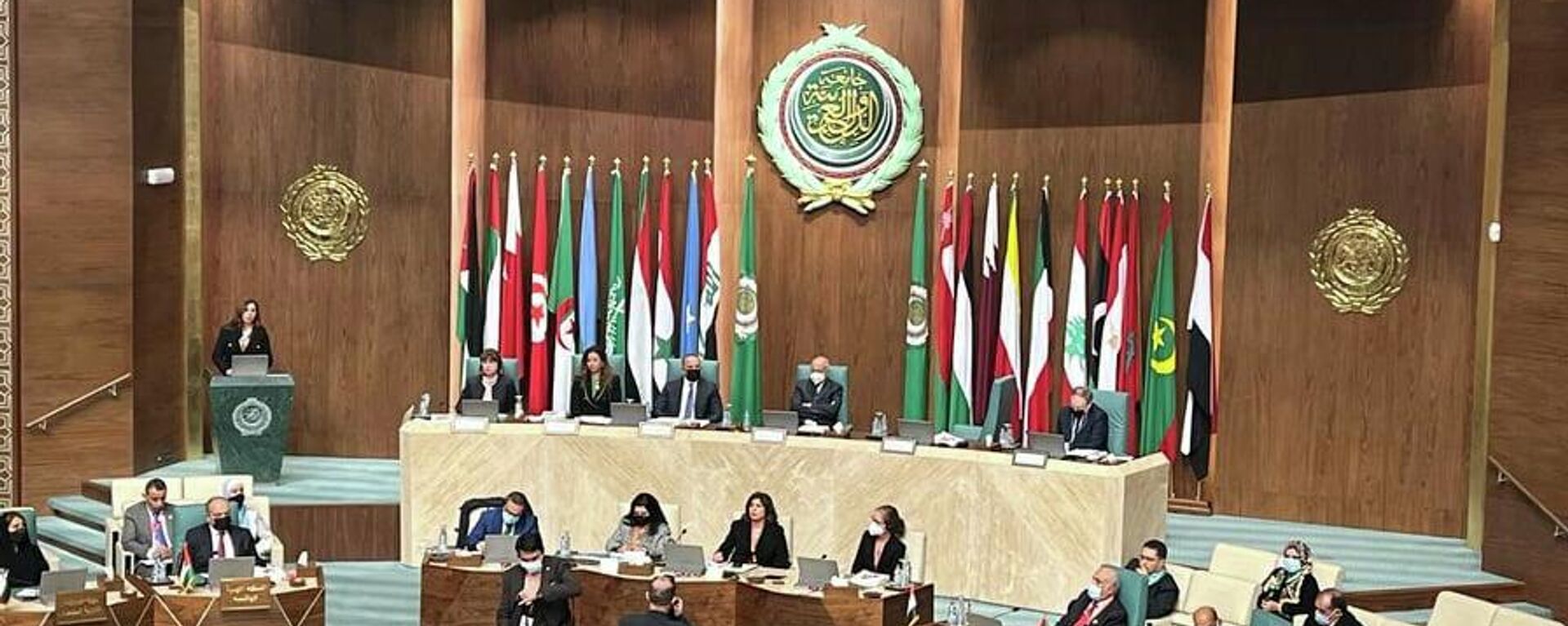 الجلسة الافتتاحية لأسبوع التنمية المستدامة، جامعة الدول العربية، 13 فبراير/ شباط 2022 - سبوتنيك عربي, 1920, 05.06.2022