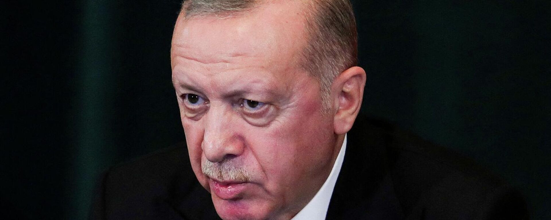 الرئيس التركي، رجب طيب أردوغان - سبوتنيك عربي, 1920, 16.02.2022