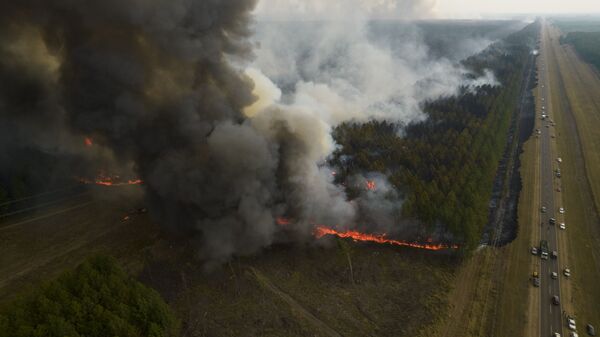 حريق يلتهم غابة بالقرب من إيتوزينغو، مقاطعة كورينتس، الأرجنتين 19 فبراير 2022. - سبوتنيك عربي