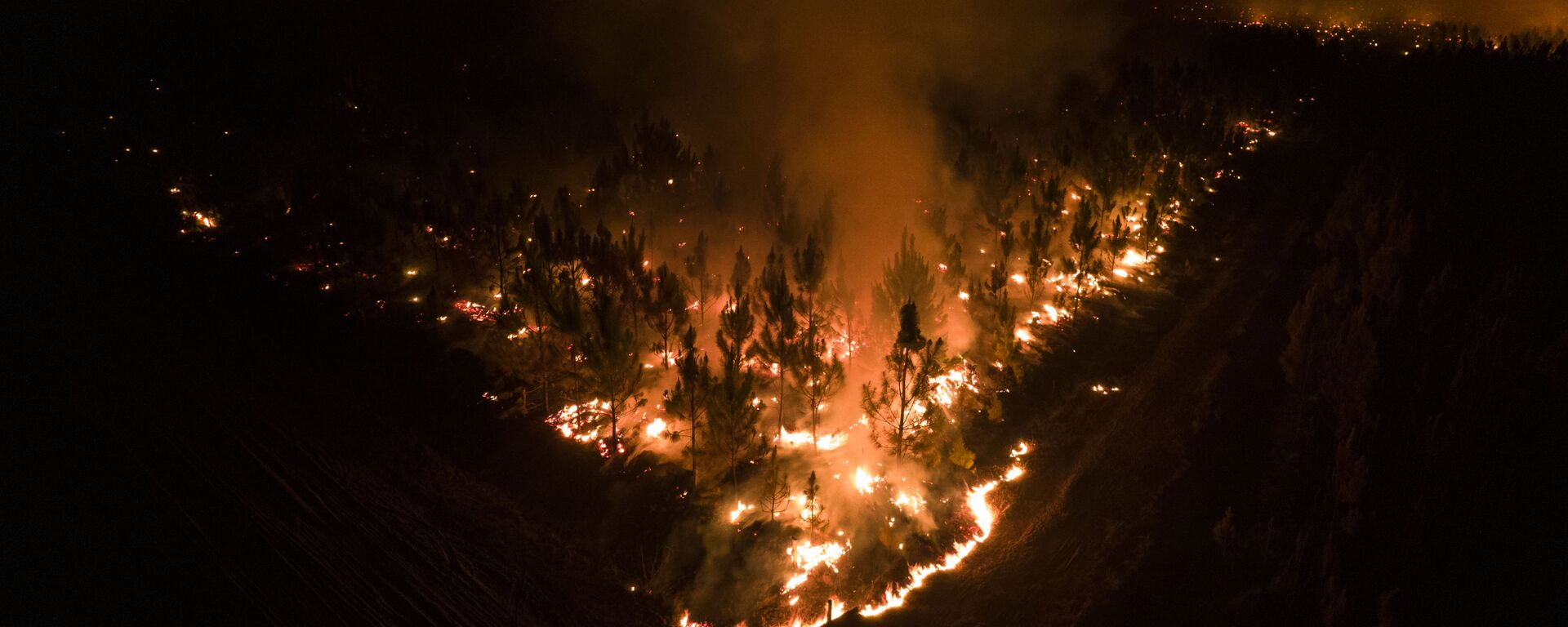 حريق يلتهم غابة بالقرب من إيتوزينغو، مقاطعة كورينتس، الأرجنتين 19 فبراير 2022 - سبوتنيك عربي, 1920, 20.07.2022