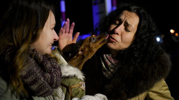 Собака лижет лицо украинской женщине в Румынии  - سبوتنيك عربي