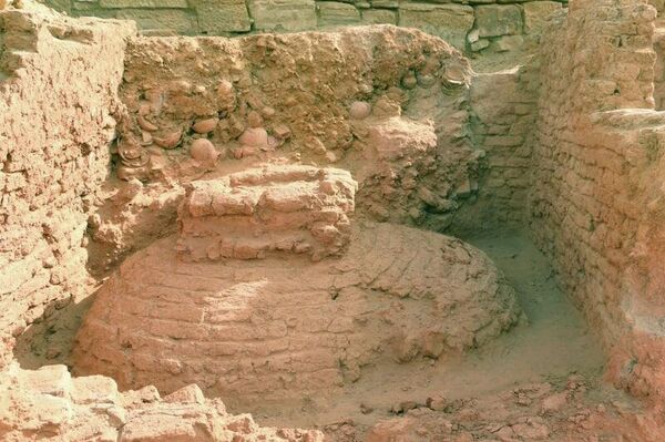 هيئة الآثار تعلن عن اكتشاف مجمع إداري في معبد كوم امبو - سبوتنيك عربي