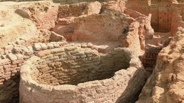 هيئة الآثار تعلن عن اكتشاف مجمع إداري في معبد كوم امبو - سبوتنيك عربي