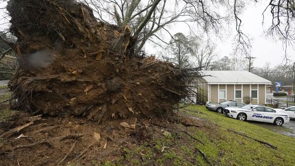 الرياح القوية تقتلع شجرة من جذورها، في أحد أحياء إدواردز بولاية ميسيسيبي، الولايات المتحدة الأمريكية،  22 مارس 2022 - سبوتنيك عربي