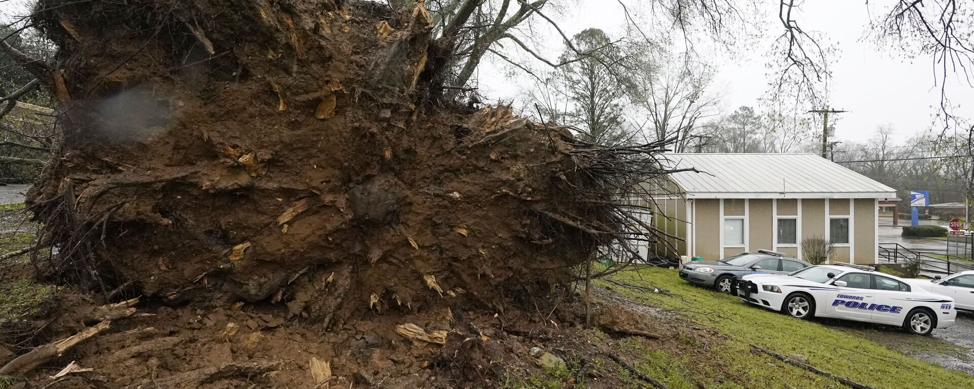 الرياح القوية تقتلع شجرة من جذورها، في أحد أحياء إدواردز بولاية ميسيسيبي، الولايات المتحدة الأمريكية،  22 مارس 2022 - سبوتنيك عربي, 1920, 26.03.2023
