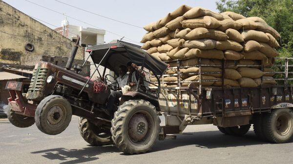 عامل يقود جرارا وهو ينقل أكياس حبوب الأرز في أمريتسار، الهند في 29 مارس 2022 - سبوتنيك عربي